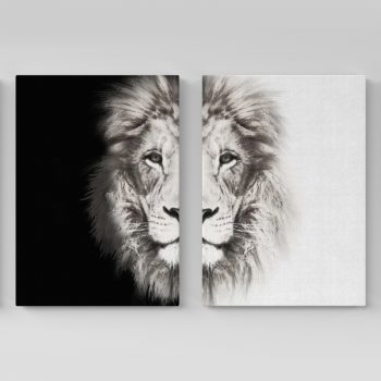 Lion Two Frame